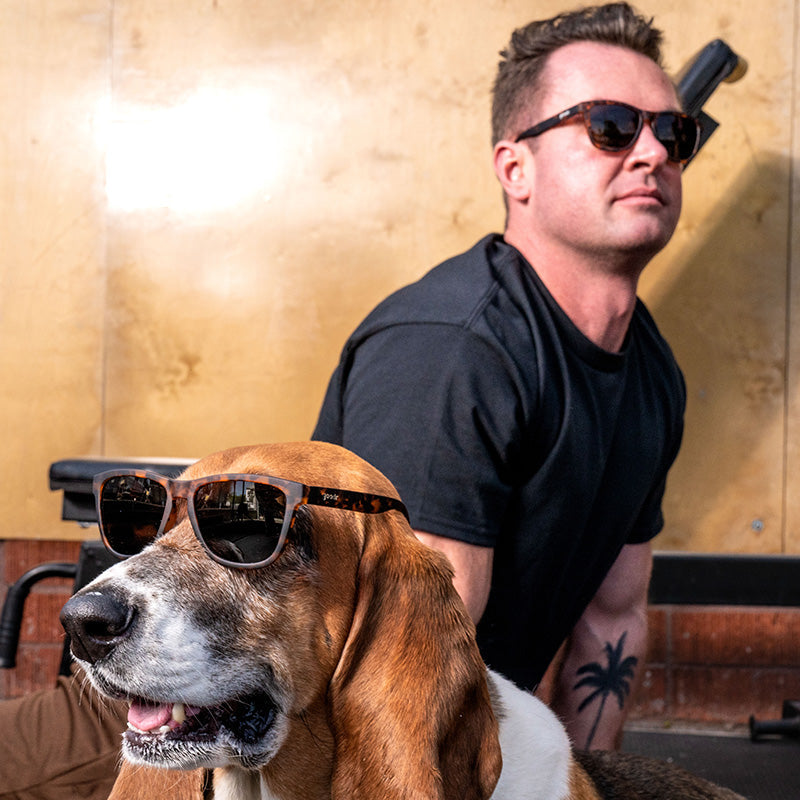 Bosley's Basset Hound Dreams Sunglasses - OG-HND-NRBR1